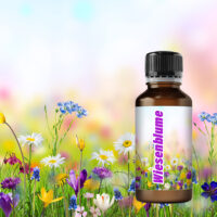 Parfümöl Wiesenblume 50 ml