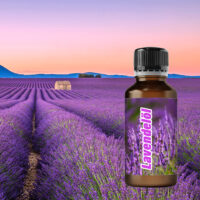 Ätherisches Öl Lavandin (Lavendel) 50 ml